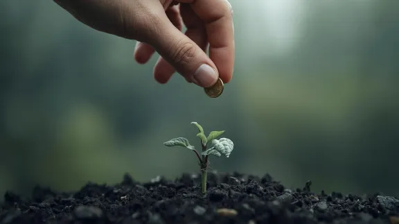 A sapling trying to grow out of the ground, a hand adding a penny above.